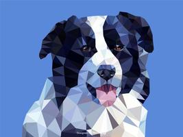 Abstract Border Collie Dog Portrait In Low Poly Vector Design