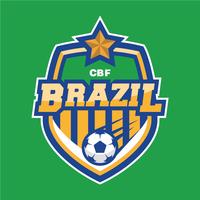 Brazilian Soccer Patch vector