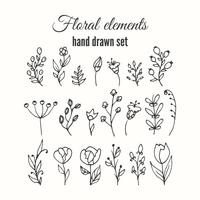 Vector floral decorative set. Herbs and wild flowers.