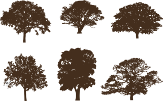 Oak tree silhouettes vector