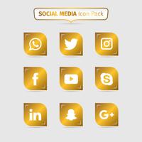 Collection Of Golden Social Media vector