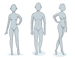 Male and Female Body Types 9641042 Vector Art at Vecteezy