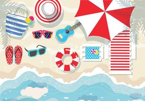 Beach Accessories Knolling Vector