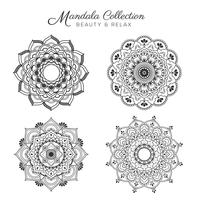 Conjunto de diseño decorativo y ornamental mandala. vector