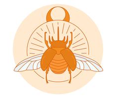 Escarabajo Vector