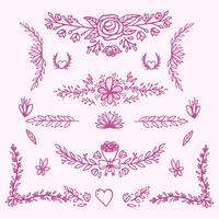 Decorative Ornaments vector