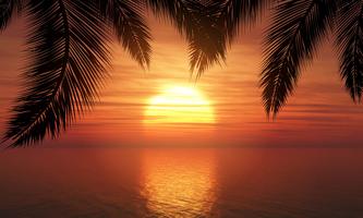 Palm trees against sunset sky  vector