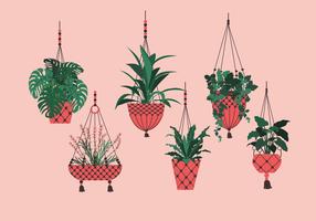 Vector colgante de plantas en maceta