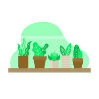 Vector de plantas en macetas