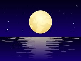 Beautiful Night Time Beach Vectors