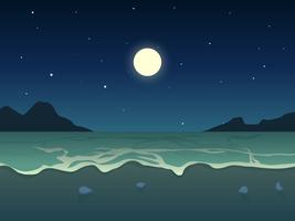 Beautiful Night Time Beach Vectors