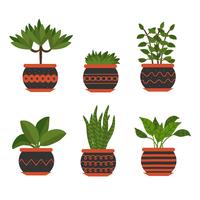 Potted Plant Vector