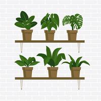 Plantas en macetas vector