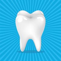 tooth, teeth vector