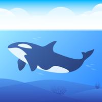 killer whales with underwater view and coral background illustration vector