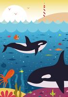 Killer Whales vector