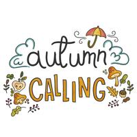 Cute Fall Elements With Lettering vector