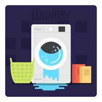 Washing vector