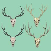 Set Beautiful Illustration Detail of a Deer Skull vector