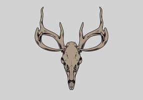 Deer Skull Vector Illustration