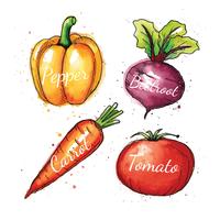 Ilustración acuarela de verduras vector