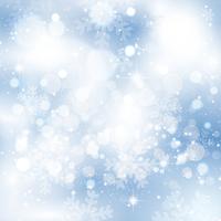 snowflakes and stars 1709 vector