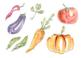 Watercolor Vegetables Vector Set Illustration