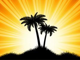 Palm tree silhouettes on sunny background vector