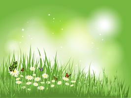 Butterflies in grass with daisies vector