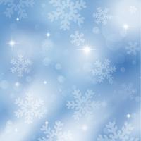 Snowflakes and stars vector