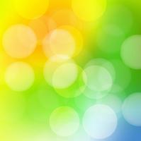 Beautiful colorful blurred background vector