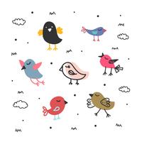 Bird Collection Vector