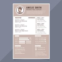 Vector Resume Template