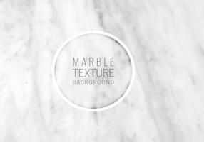 Modern gray marble texture background vector