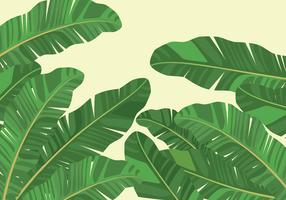 Banana Leaf Vector Art, Icons, and Graphics for Free Download
