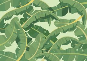 Banana Leaf Background vector