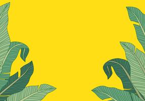 Banana Leaf Background vector