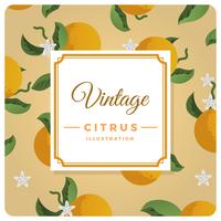 Flat Vintage Citrus Background Vector Illustration