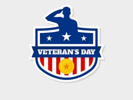 Outstanding Veteran's Day Vectors