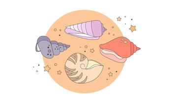 Seashells Vector