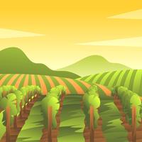 Vineyard Scenery First Person View Vector