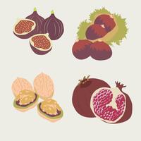 Autumn Fruits vector