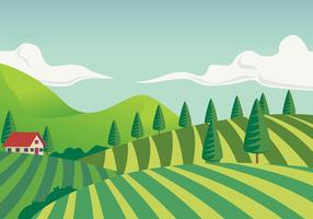 Vineyard Scenery First Person Vector Illustration