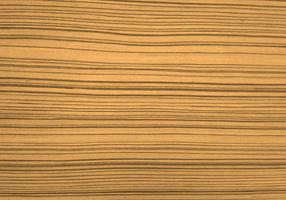Fondo de textura de madera hermosa vector