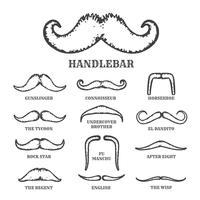 Isolated Silhouette Moustache Collection With Name of Style. Vec vector