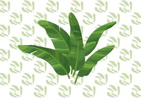 Banana Leaf Vector Illustration