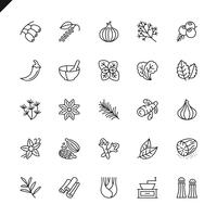 Thin line spices, condiments and herbs icon set vector