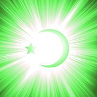 Nations Of Islam vector