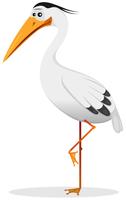 Cartoon Heron Bird vector