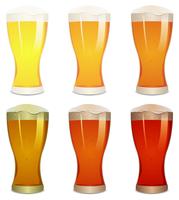 Lager, Amber And Stout Beers Set vector